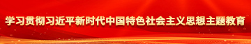 多人日p学习贯彻习近平新时代中国特色社会主义思想主题教育